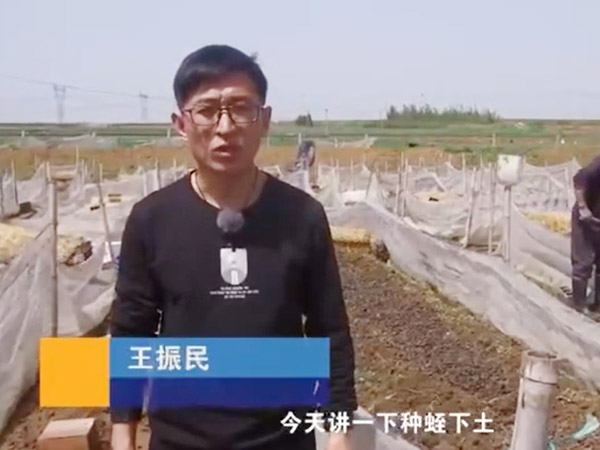 种蛭下土当苦衷项