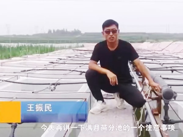 J9集团满月苗确当苦衷项