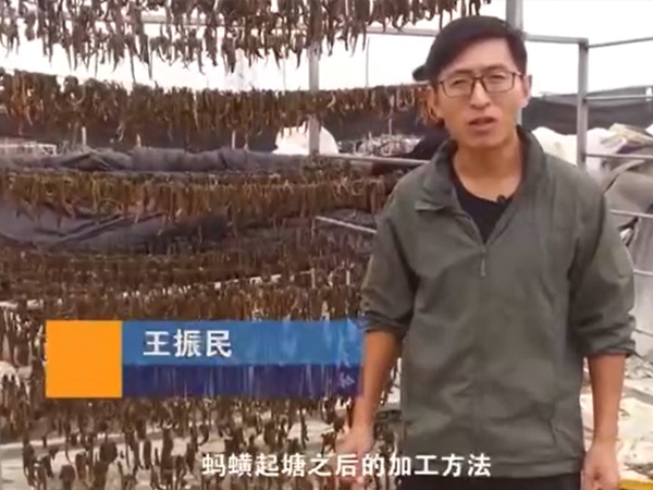 J9集团加工步骤