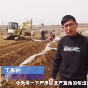 产床及产茧池造作要求