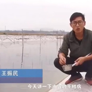 J9集团干枯病产生涯法规及防治步骤